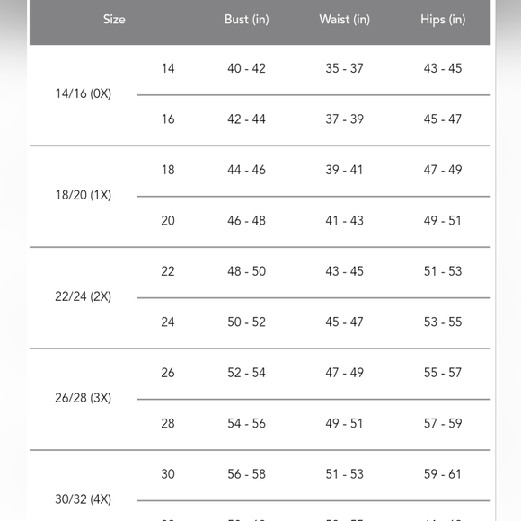 🔥NWT Avenue Misty Embroidered Top - Picture 11 of 11